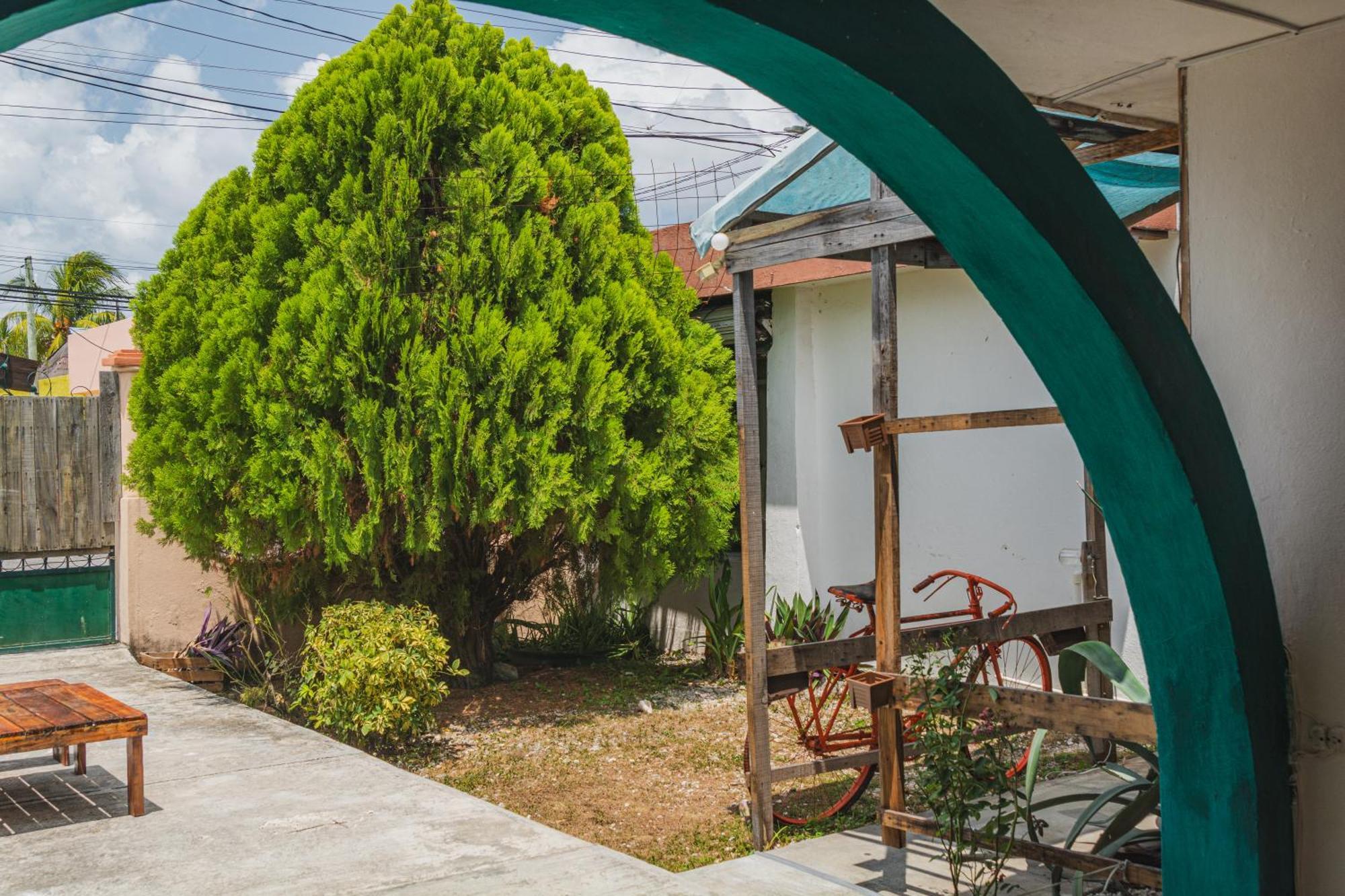 Hostal Casa Samay